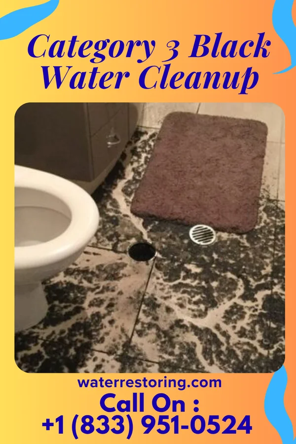 Category 3 Black Water Cleanup in Fort Fetter, PA